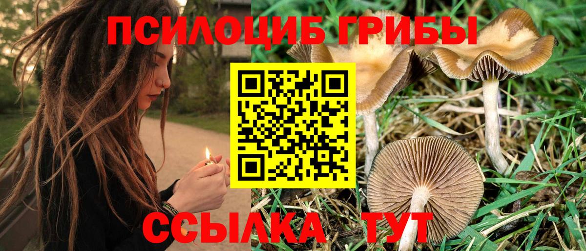 Лянтор  Псилоцибиновые грибы Psilocybine cubensis  продажа наркотиков  Псилоцибиновые грибы Psilocybe  Вход с VPN 