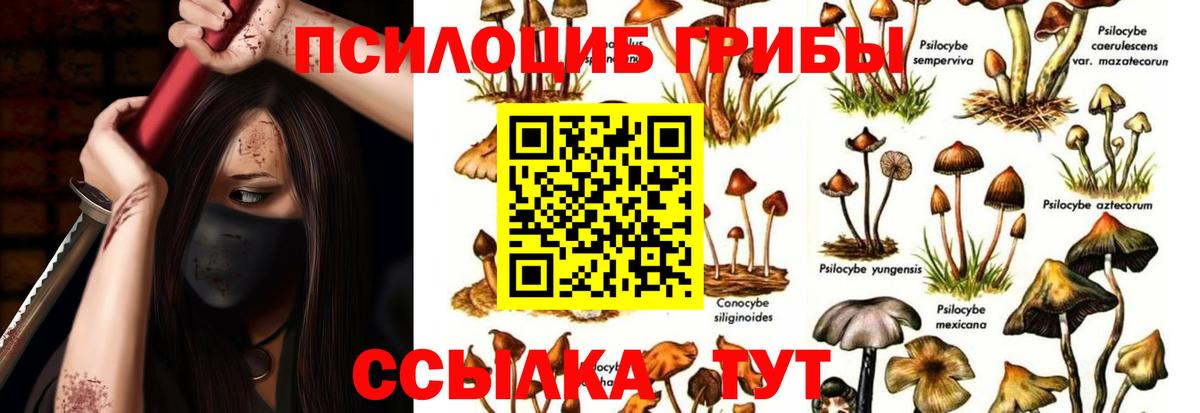 Псилоцибиновые грибы Cubensis Лянтор